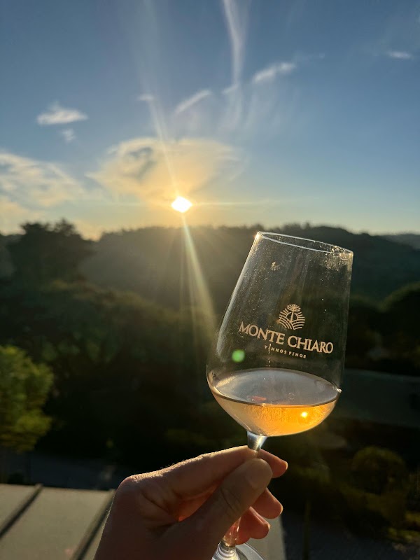 Monte Chiaro Vinhos Finos