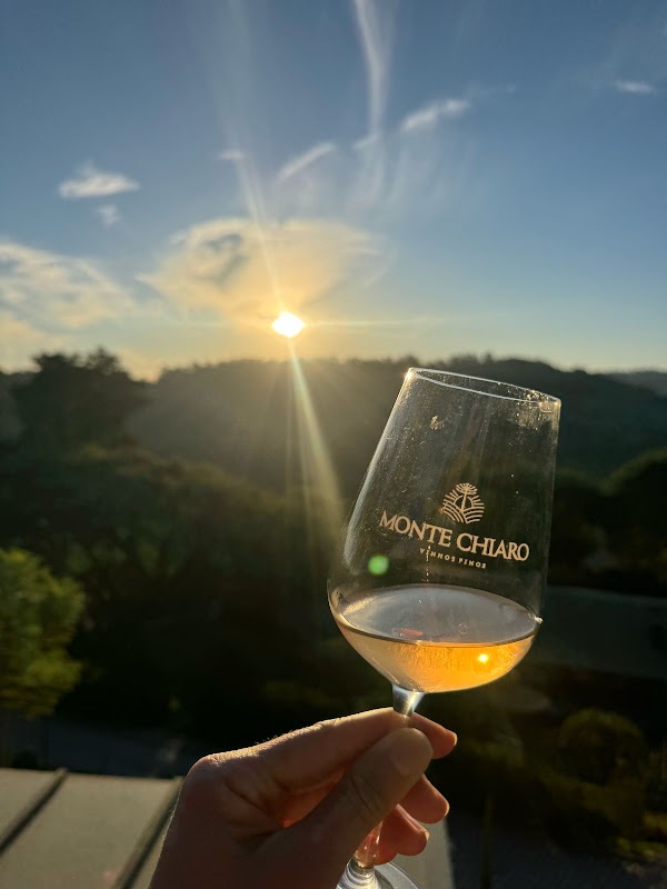 Monte Chiaro Vinhos Finos