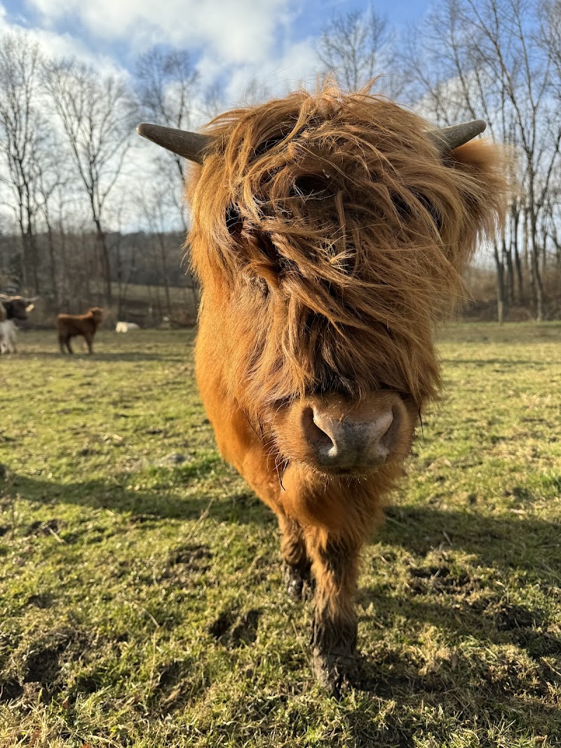 Elk Ravine Farm - Photo 1