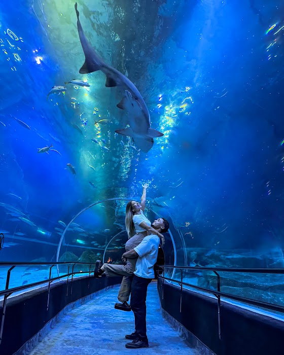 AquaRio fotoğraf 1