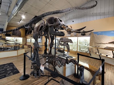 World Fossil Finder Museum