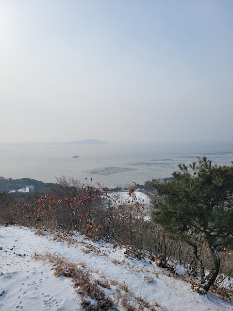 인천둘레길 14코스 반려동물 동반 여행지