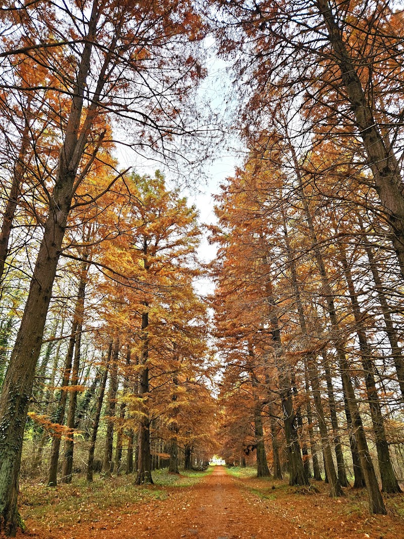 Hévíz, Festetics allé