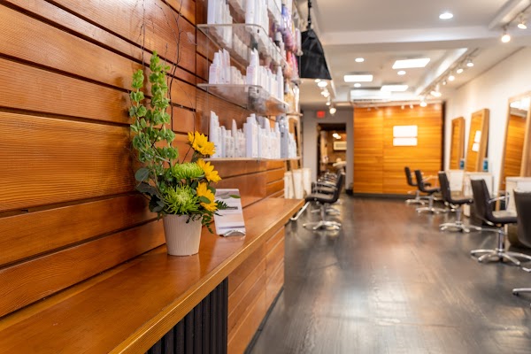 Architeqt Salon and Gallery portfolio