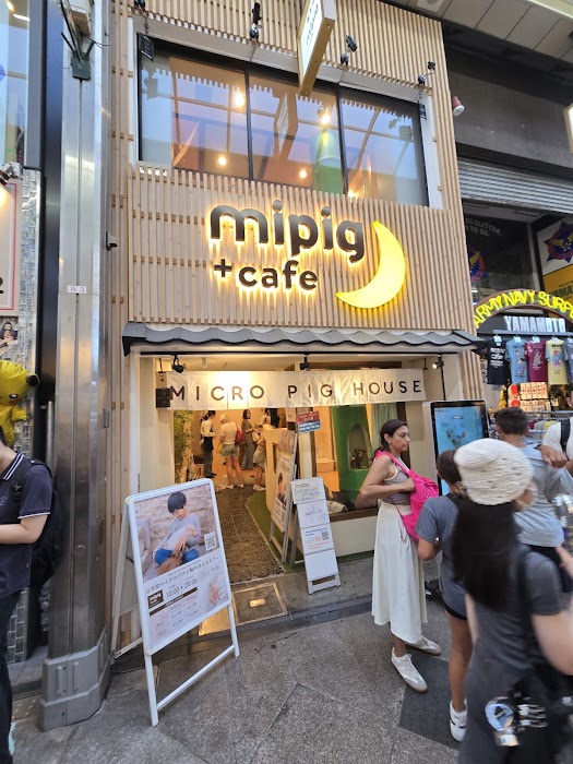 mipig cafe 京都店 fotoğraf 1