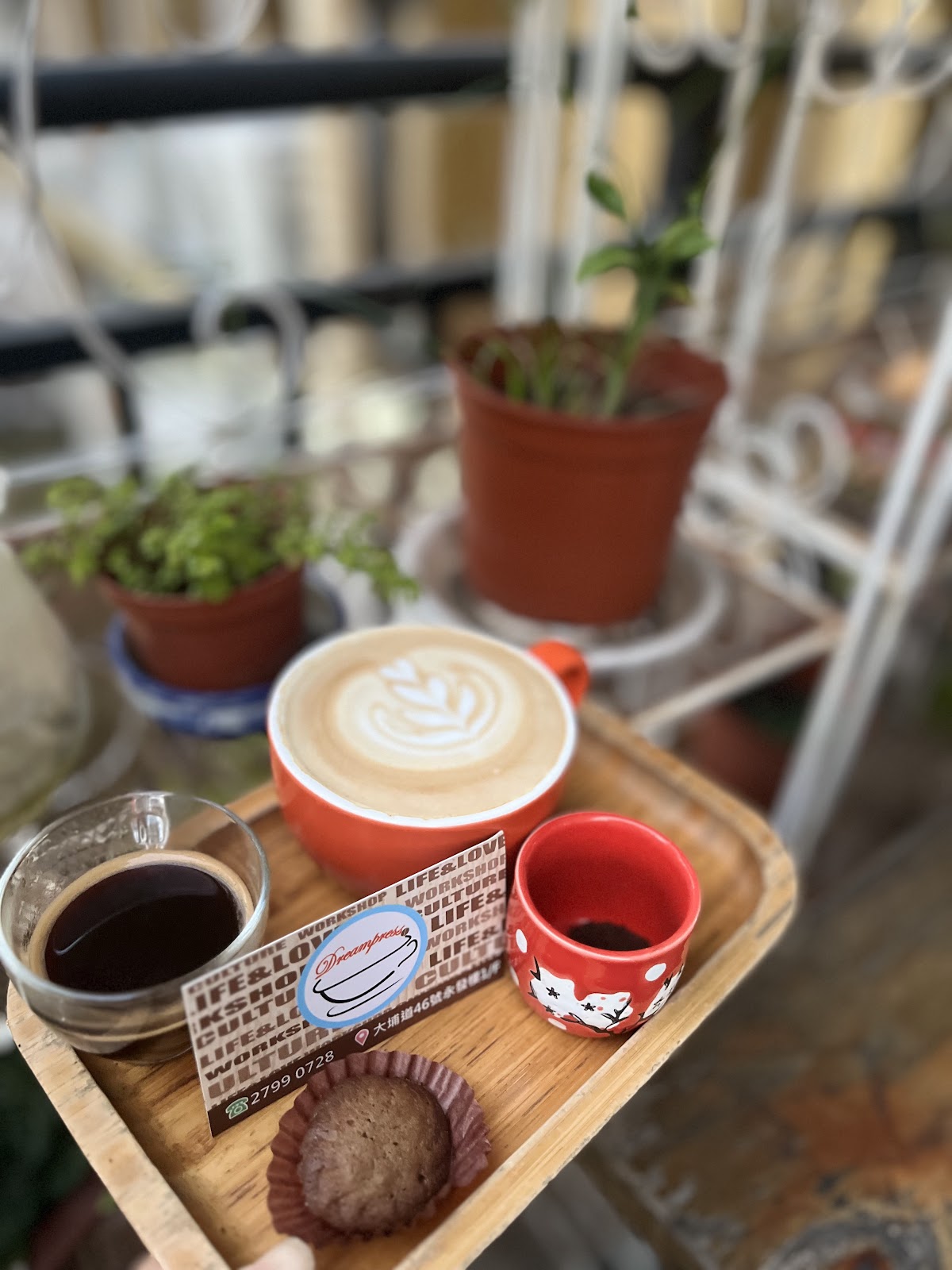 Dreampresso photo 2
