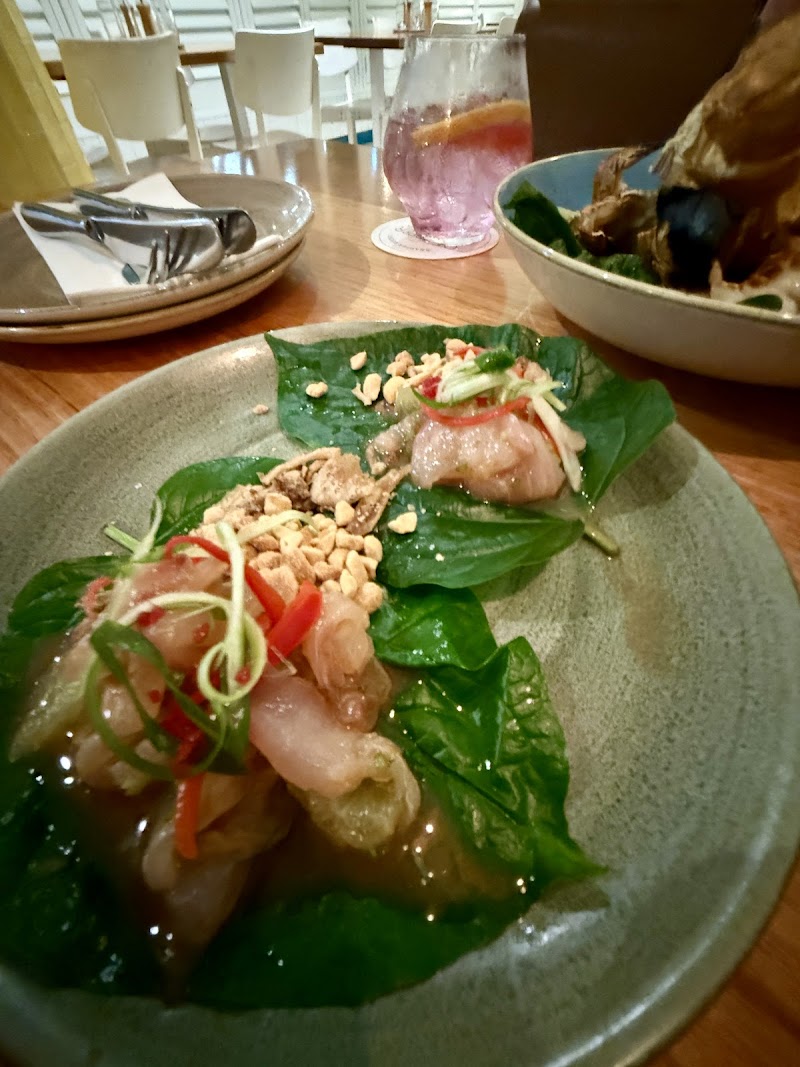 Snapper Rocks photo 8