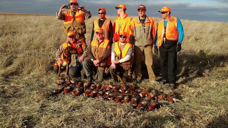 UGUIDE South Dakota Pheasant Hunting - Photo 1