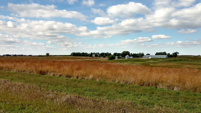 UGUIDE South Dakota Pheasant Hunting - Photo 2
