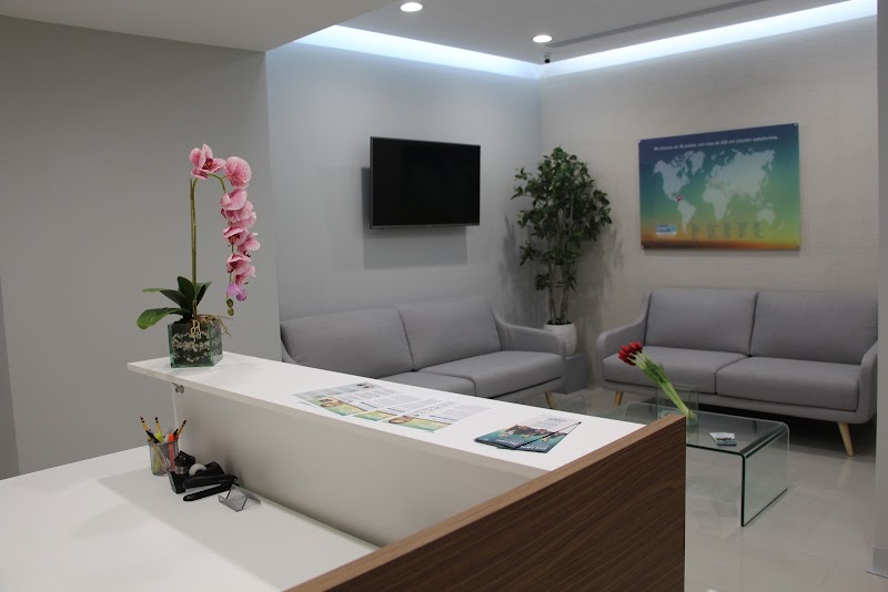 Gallery 5