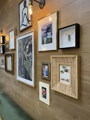 The Mane Attic photo 2