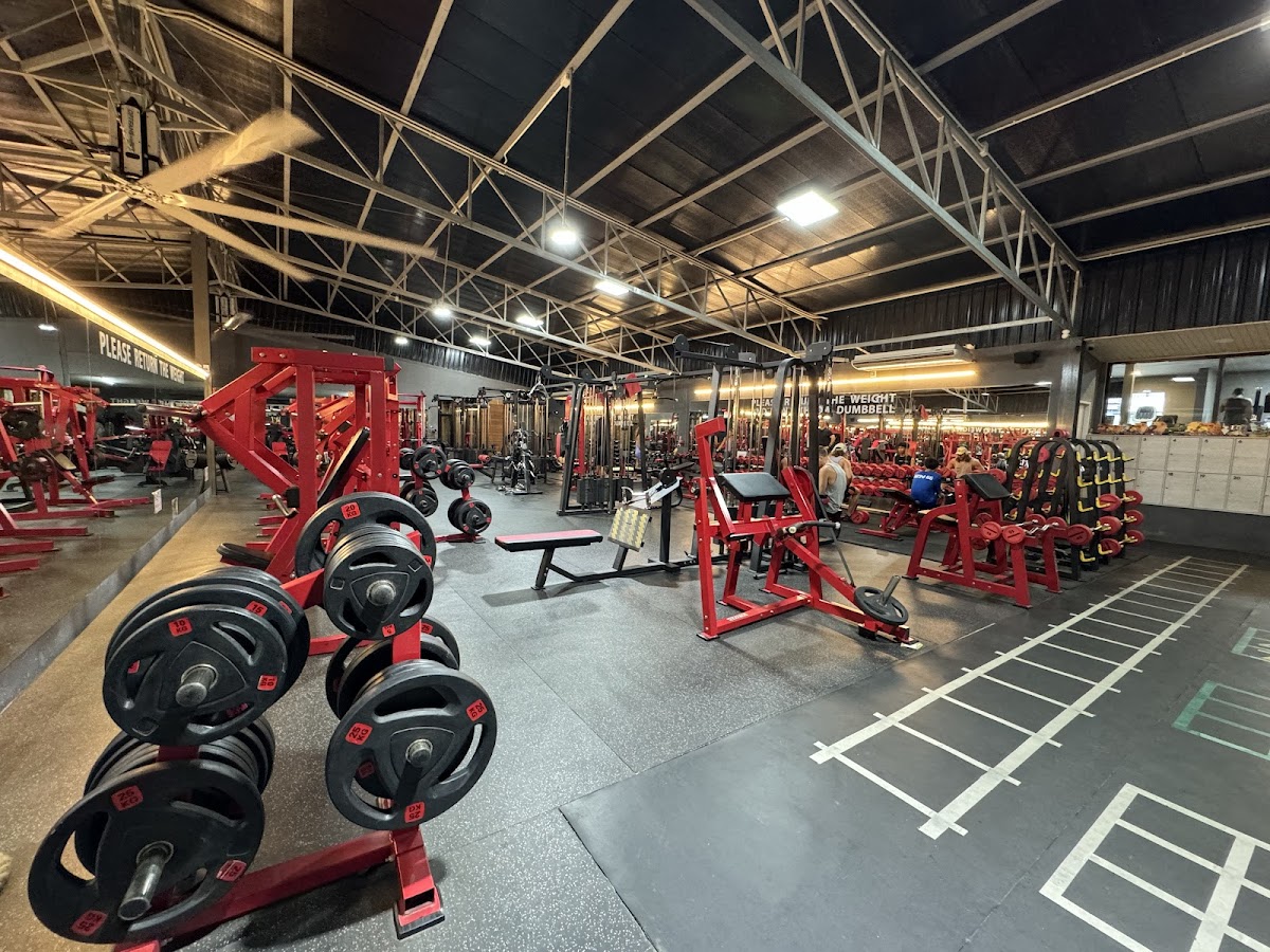 Success Gym - Photo 3