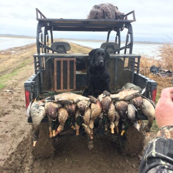 Ducks n Dogs Hunting Lodge Arkansas - Photo 2