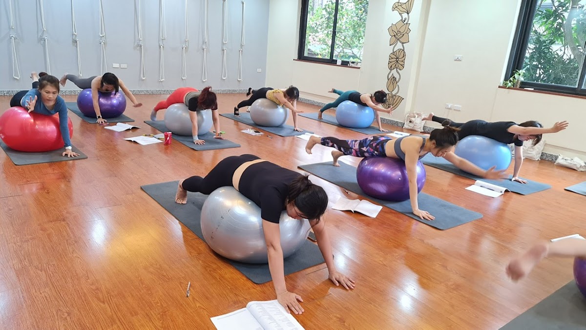 Zenith Yoga — 4