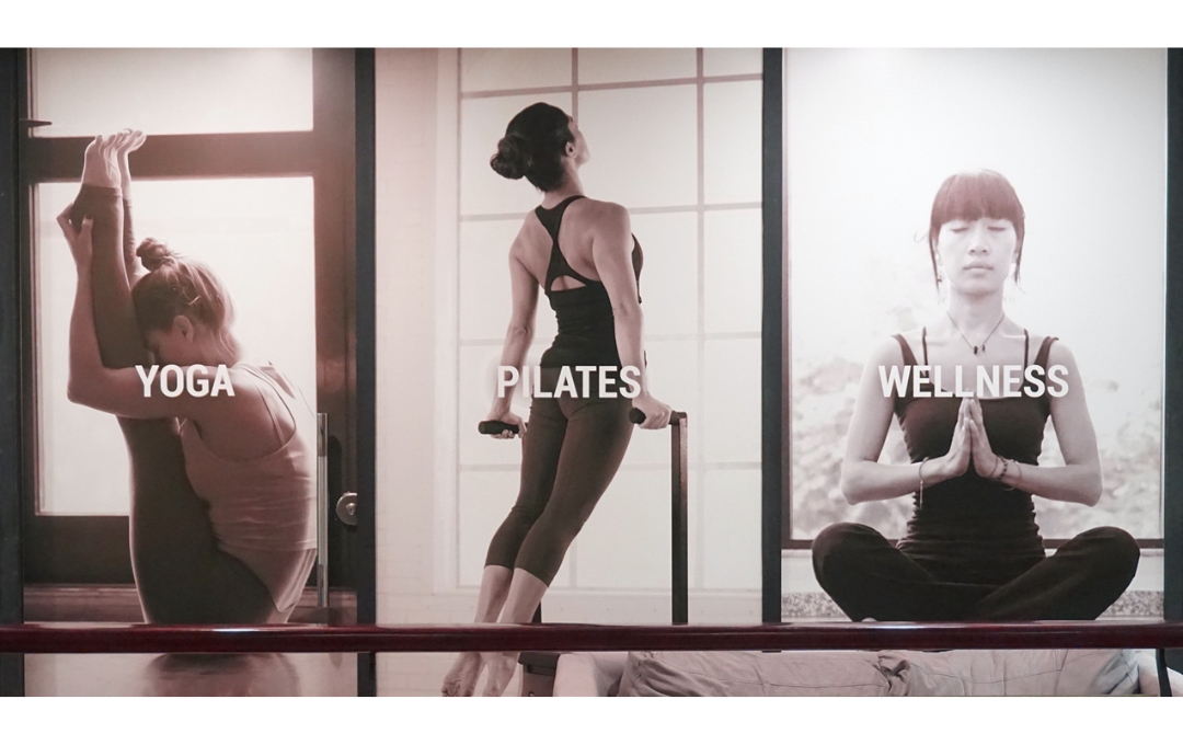 Zenith Yoga