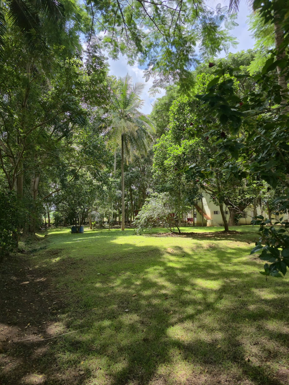 Osho Sannidhi, Mysore- Meditation Center( OAIF) — 3