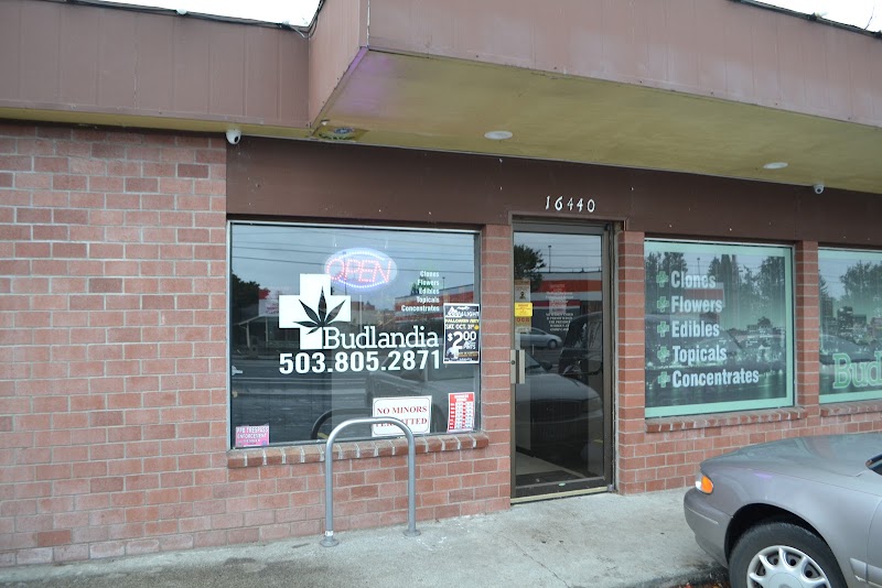 Video tour of Budlandia Division retail environment