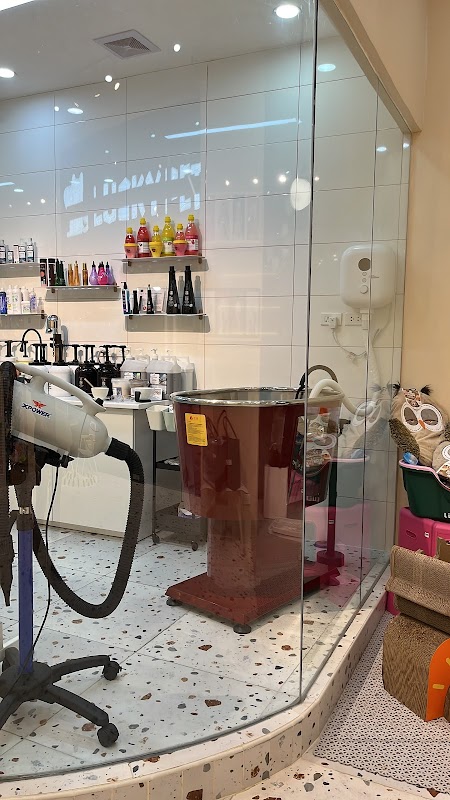 lucky pet grooming spa shop