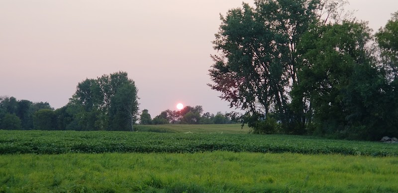 Little House on the Farm - Photo 6