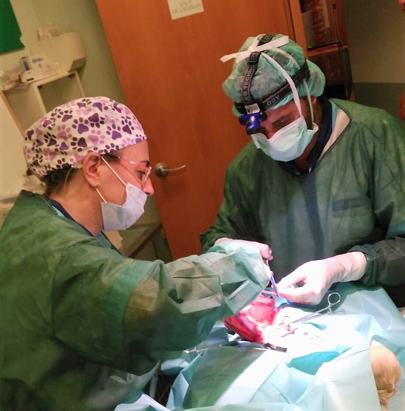 VETERHOUSE Clínica Veterinària