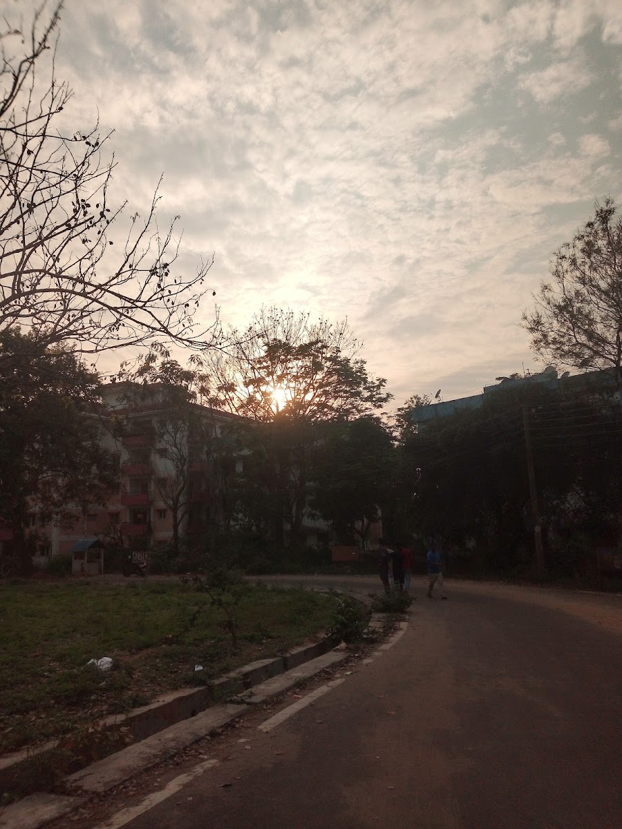TMC Playground Google photo 2