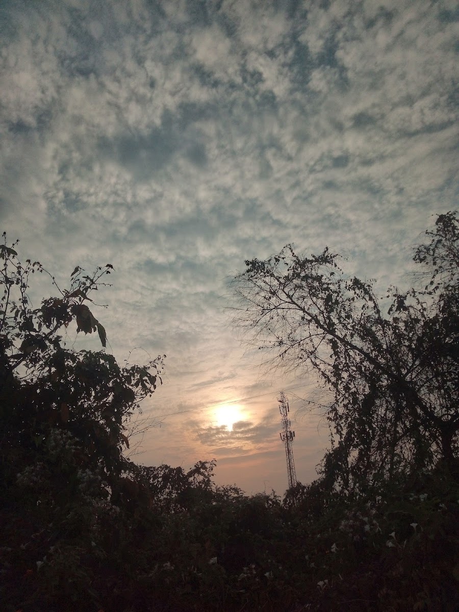 TMC Playground Google photo 4