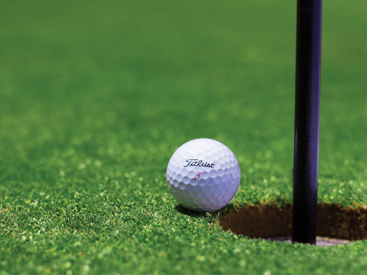 Dugout Mini Golf banner