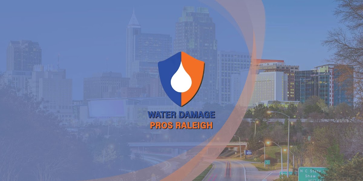 Water Damage Pros NC — photo