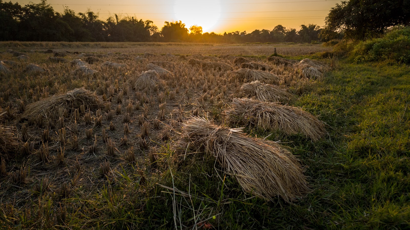Rana's Sunset Point photo 5