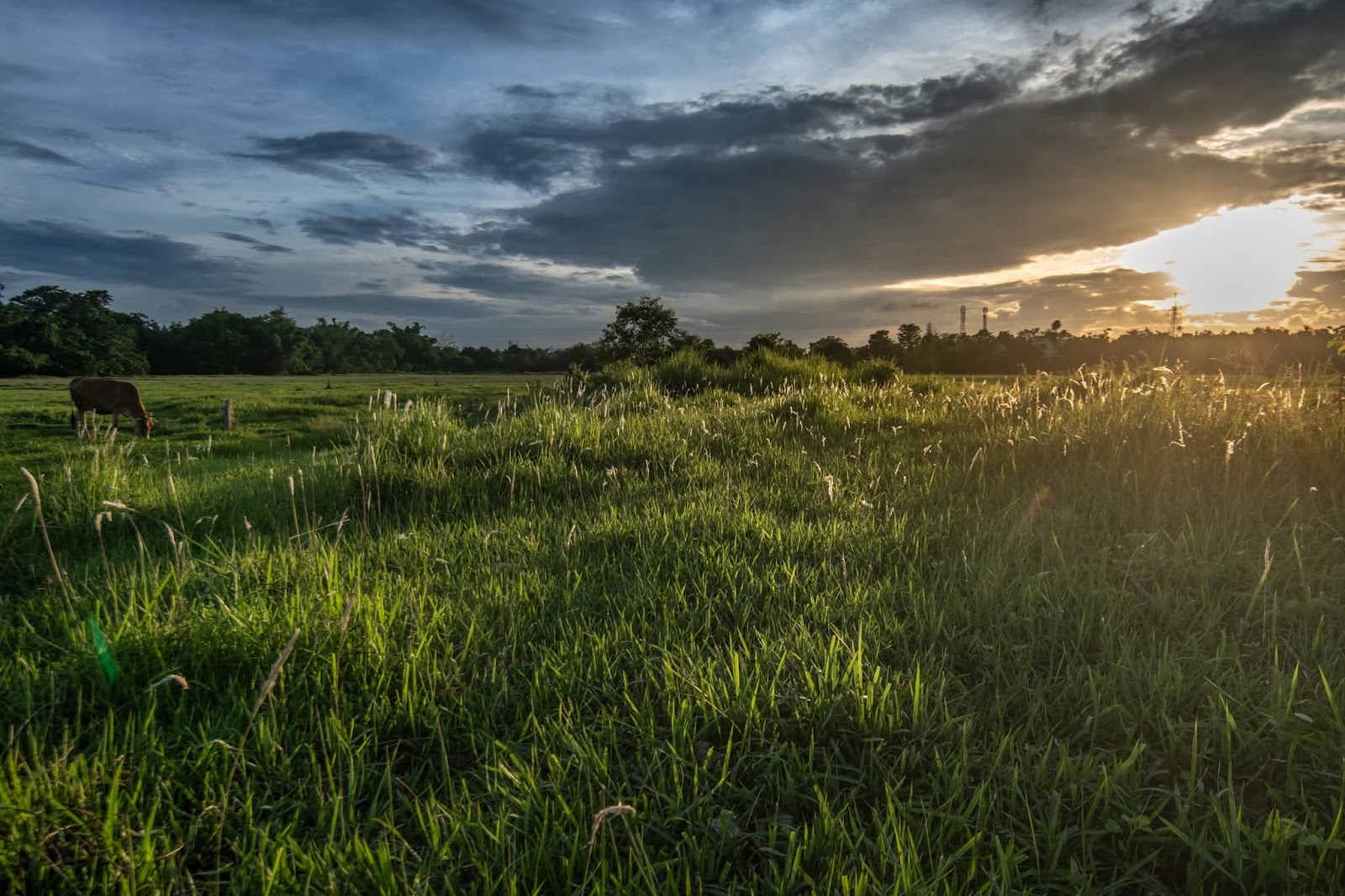 Rana's Sunset Point photo 1