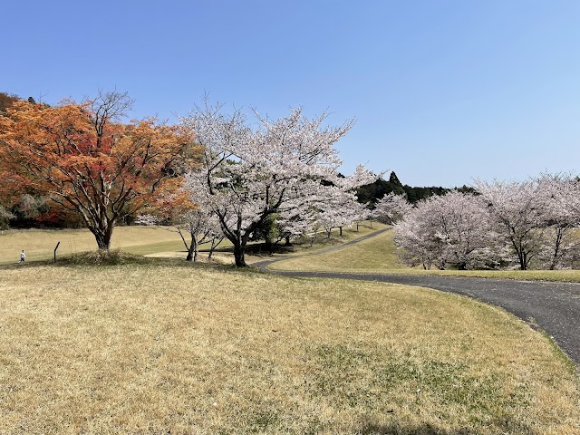 Nanmajo Country Club - Photo 4