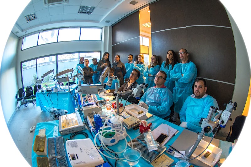 Blantus Centro de Endodontia - foto 4