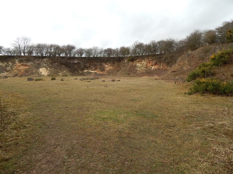 Raisby Way Railway Path and Trimdon Grange Quarry Local Nature Reserve