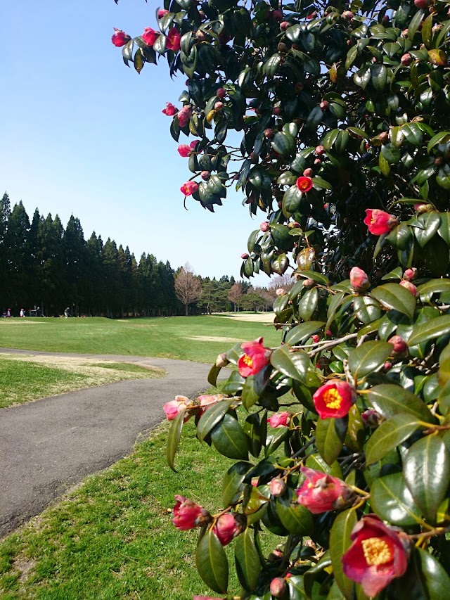 Akita Tsubakidai Country Club - Photo 9