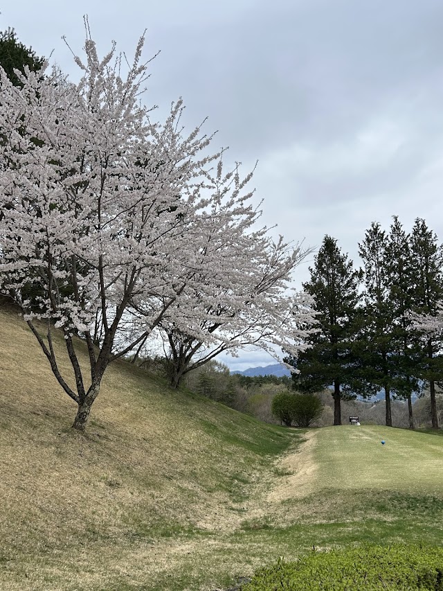 Kawanakajima Country Club - Photo 9