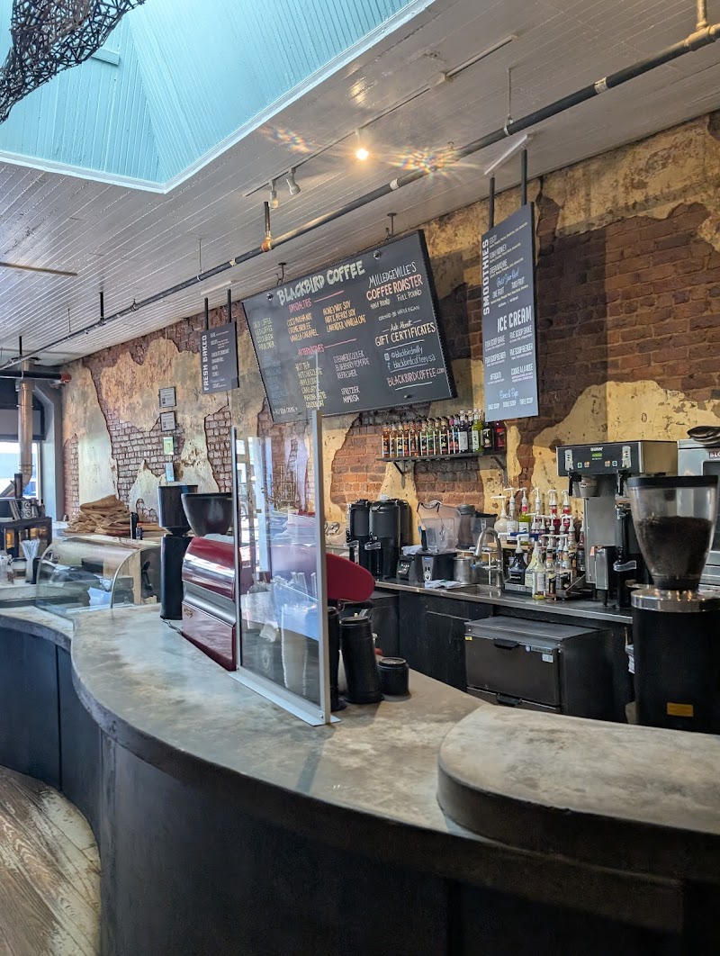 Blackbird Coffee photo 3