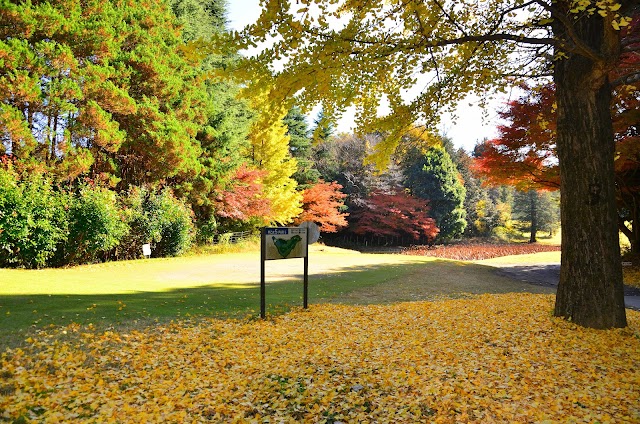 Murazuka Golf Club - Photo 8