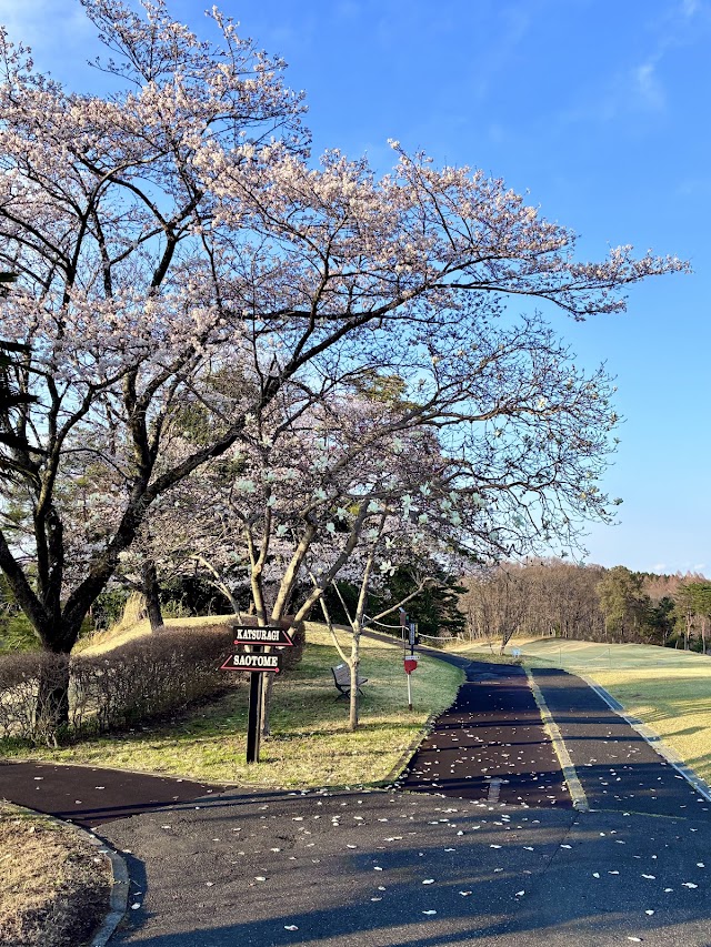 Murazuka Golf Club - Photo 7