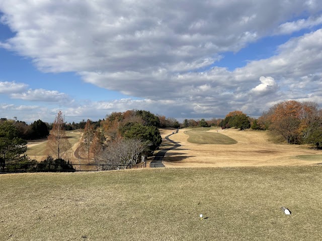 Omi Hills Golf Club - Photo 4