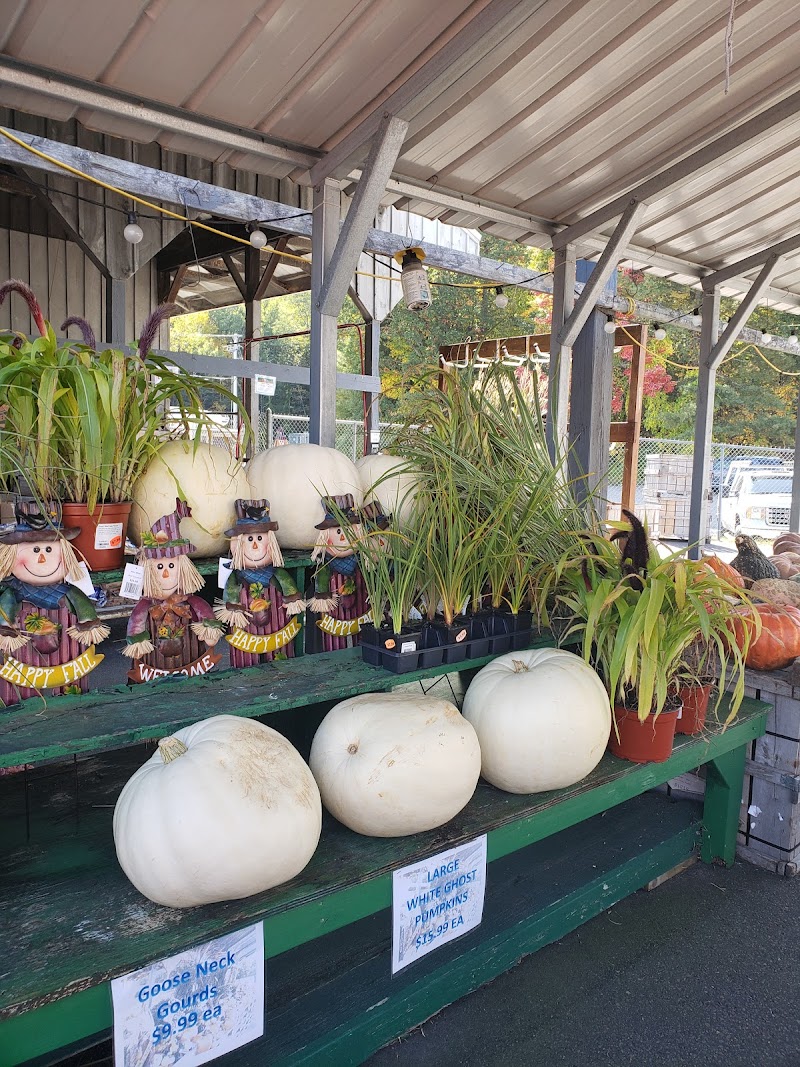 Bolton Orchards photo 4