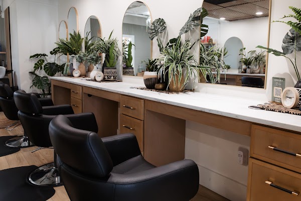 M. Hair Studio portfolio