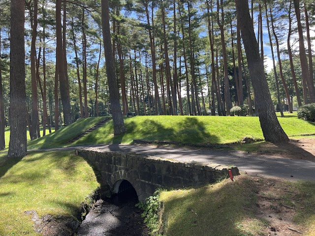 Naruzawa Golf Club - Photo 8