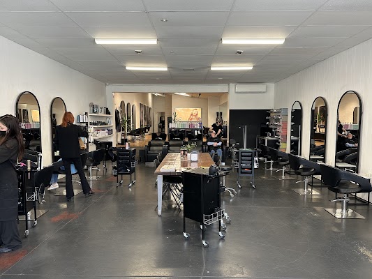 Volume Hair Windsor photo 2