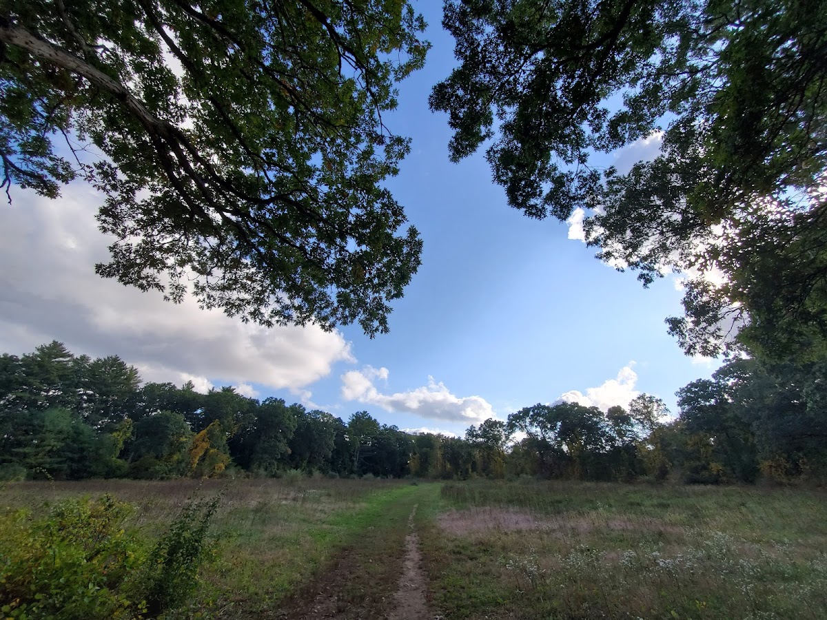 Erwin S. Wilder Wildlife Management Area