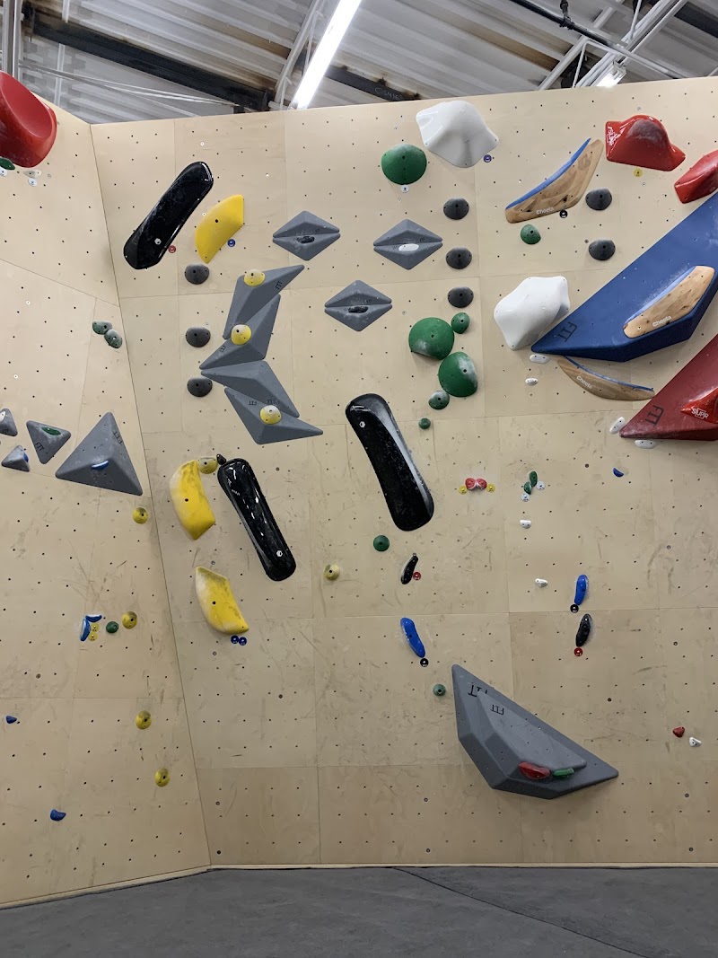 Mustangs Bouldering photo 2