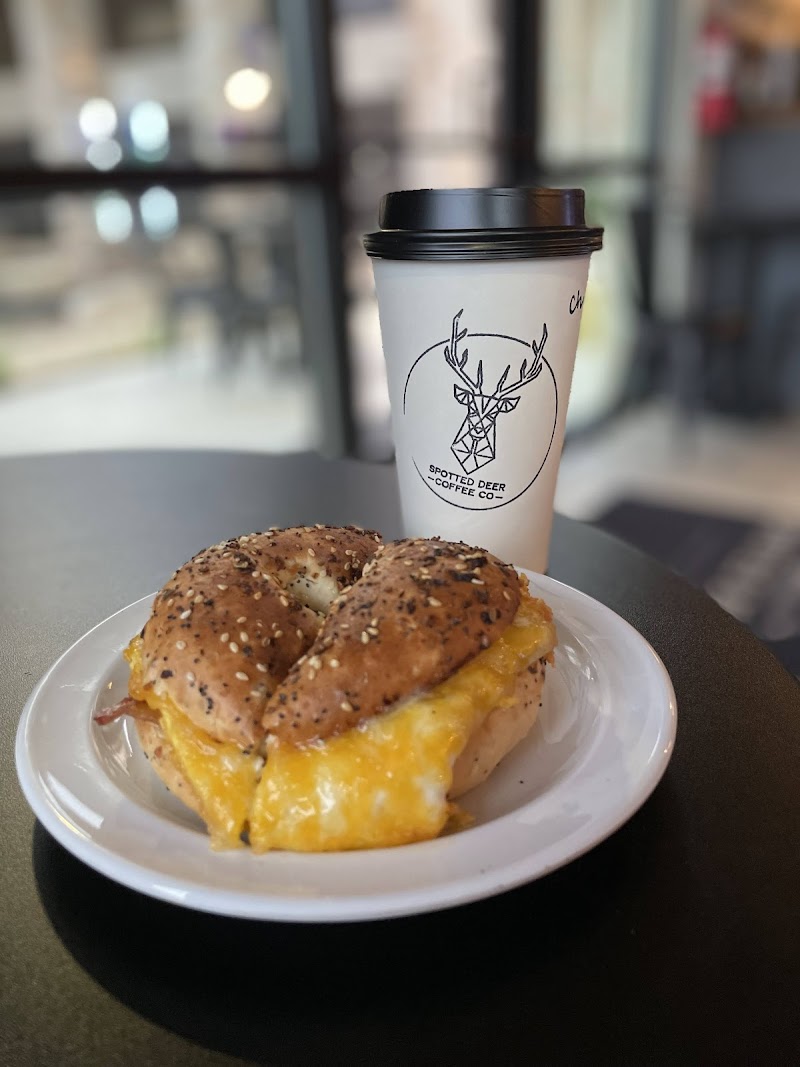 Spotted Deer Coffee Company photo 2