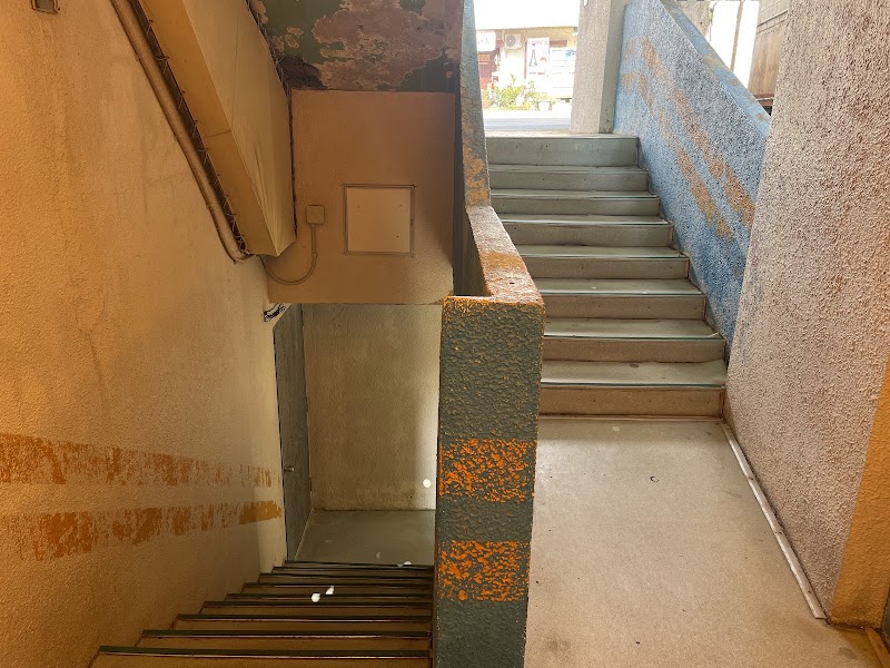 グリーンサウナ 3