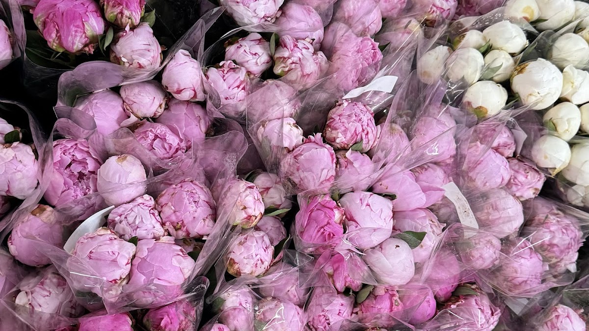 Malina Flowers: Google Places image 2
