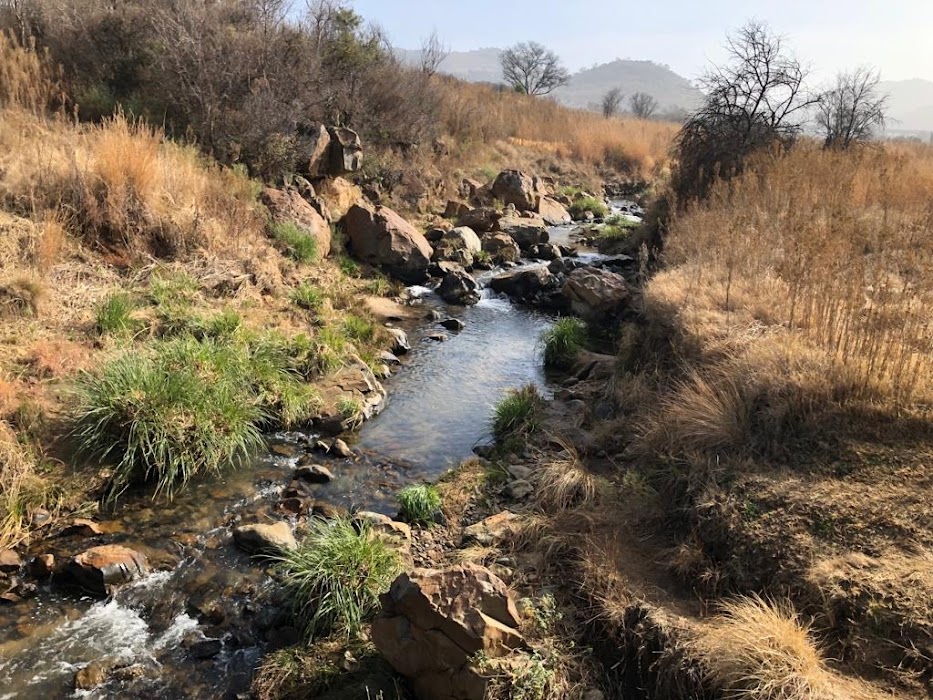 Klipriviersberg Nature Reserve fotoğraf 1