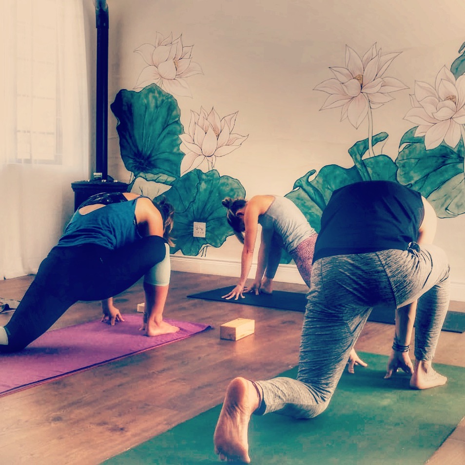House of Yoga — 3